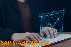 SAP S/4HANA - Materials Management Basics